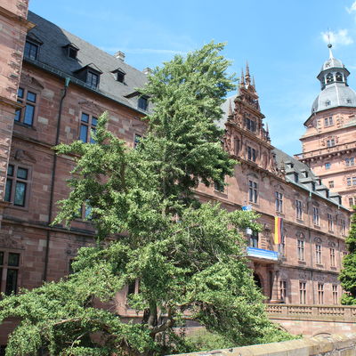 Bild vergr&ouml;&szlig;ern: Alder Modemarkt am 03.07.2014