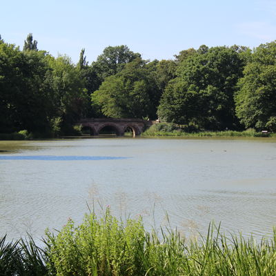 Bild vergr&ouml;&szlig;ern: Alder Modemarkt am 03.07.2014