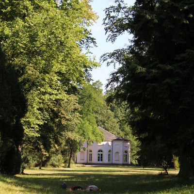 Bild vergr&ouml;&szlig;ern: Alder Modemarkt am 03.07.2014