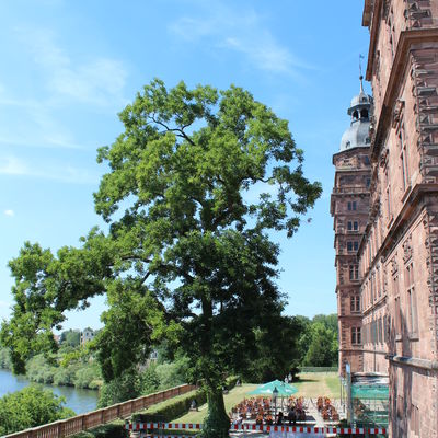 Bild vergr&ouml;&szlig;ern: Alder Modemarkt am 03.07.2014