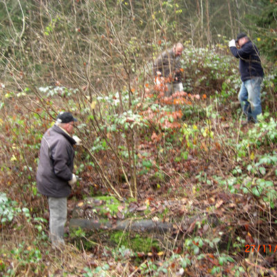 Bild vergr&ouml;&szlig;ern: SEK 2