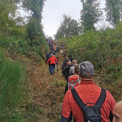 Bild vergr&ouml;&szlig;ern: Vorwanderung Ostgrenze 2021