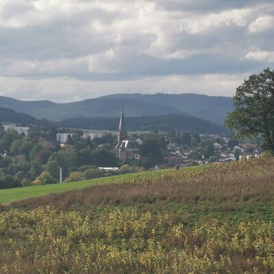 Bild vergr&ouml;&szlig;ern: Vorwanderung Ostgrenze 2021