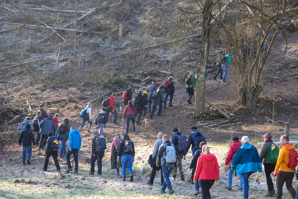 Bild vergr&ouml;&szlig;ern: Der erste Anstieg zum Wollenberg hinauf